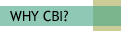 Why Choose CBI for your property inspection?